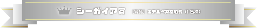 シーガイア賞：ホテルペア宿泊券（1名様）